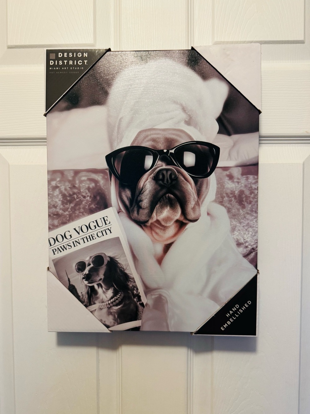 Design District “DOG VOGUE” Paws In The City